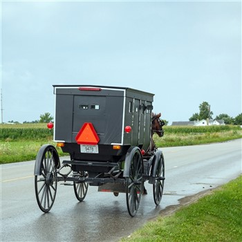 Amish Tour