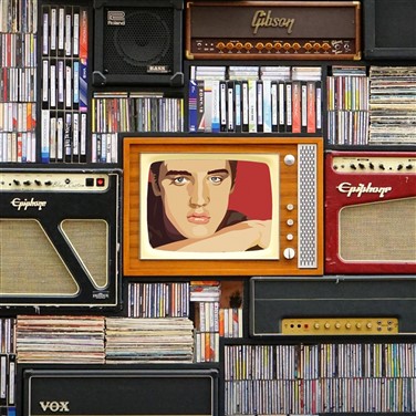 Heartbreak Hotel - Elvis Bio