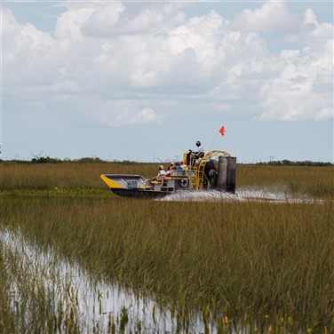 Northern Everglades Adventure