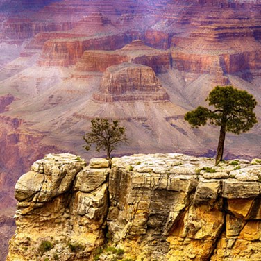 Grand Canyon & Southwest Parks