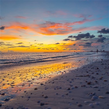Honeymoon Island and Caladesi Island
